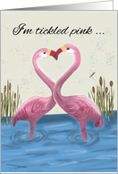Our Anniversary Two Flamingos Making Heart Shape card