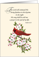 Religious Thinking of You Cardinal on Blooming Dogwood Branch card