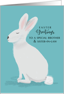 Brother and Sister in Law Easter Greetings White Rabbit on Light Teal card