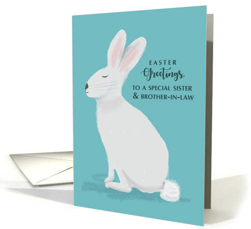 Sister and Brother in Law Easter Greetings White Rabbit... (1762000)