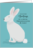 Granddaughter and Family Easter Greetings White Rabbit on Light Teal card