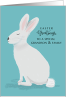 Grandson and Family Easter Greetings White Rabbit on Light Teal card