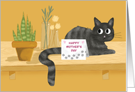 Mothers Day Funny Cat on Table With Plants card