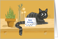 Happy Birthday Funny Cat on Table With Plants card