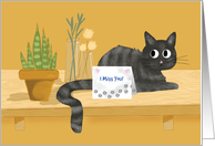 Miss You Funny Cat on Table With Plants card