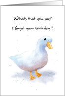 Belated Birthday With Humorous Duck card