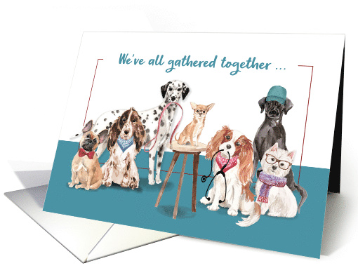 Doctors Day From Group Funny Dogs card (1763434)