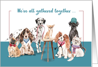Nurses Day From Group Funny Dogs card