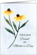 Friend on Mothers Day Two Cone Flowers card