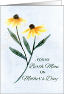 Birth Mom on Mothers Day Two Cone Flowers card
