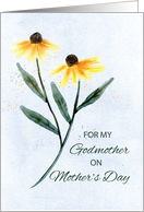 Godmother on Mothers Day Two Cone Flowers card