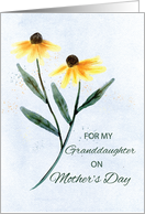 Granddaughter on Mothers Day Two Cone Flowers card