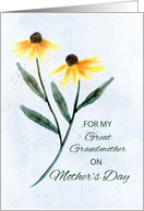Great Grandmother on Mothers Day Two Cone Flowers card