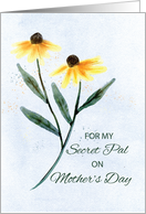 To My Secret Pal Mothers Day Two Cone Flowers card