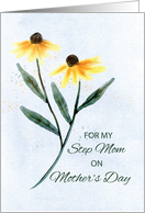 For Step Mom on Mothers Day Two Cone Flowers card