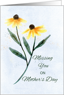 Missing You on Mothers Day Two Cone Flowers card