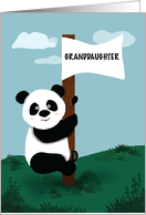 Granddaughter Birthday Panda Climbing Flag Pole card