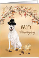 American Staffordshire Terrier Funny Pilgrim Hat Thanksgiving card