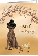 Brown Labrador Retriever Funny Pilgrim Hat Thanksgiving card