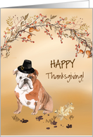 English Bulldog Funny Pilgrim Hat Thanksgiving card