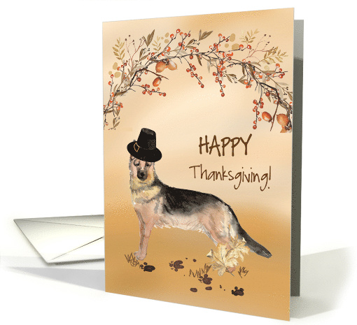 German Shepherd Funny Pilgrim Hat Thanksgiving card (1783842)