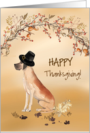 Great Dane Funny Pilgrim Hat Thanksgiving card