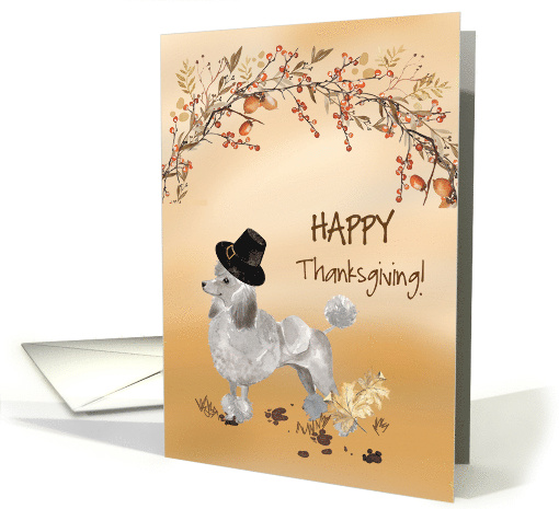 Grey Poodle Funny Pilgrim Hat Thanksgiving card (1783846)