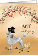 Grey Poodle Funny Pilgrim Hat Thanksgiving card
