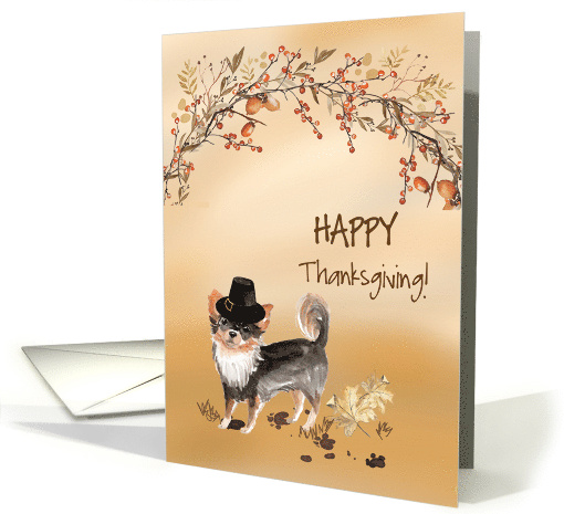 Long Haired Chihuahua Funny Pilgrim Hat Thanksgiving card (1783852)