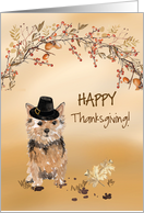 Norfolk Terrier Funny Pilgrim Hat Thanksgiving card