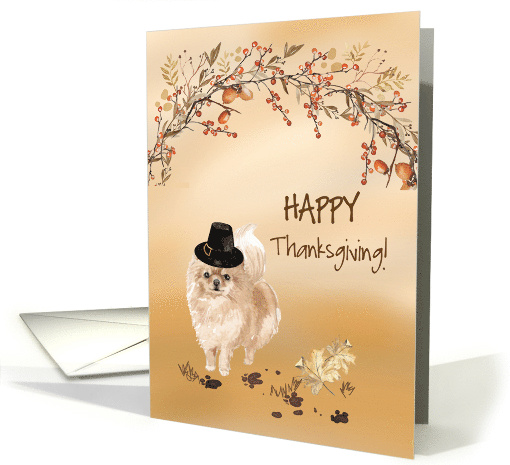 Pommeranian Funny Pilgrim Hat Thanksgiving card (1783856)