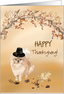 Pommeranian Funny Pilgrim Hat Thanksgiving card