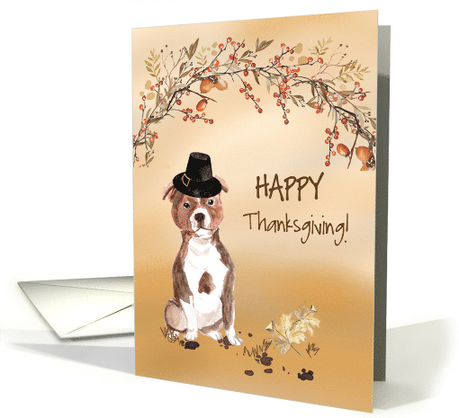 Staffordshire Bull Terrier Funny Pilgrim Hat Thanksgiving card