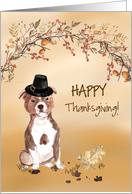 Staffordshire Bull Terrier Funny Pilgrim Hat Thanksgiving card