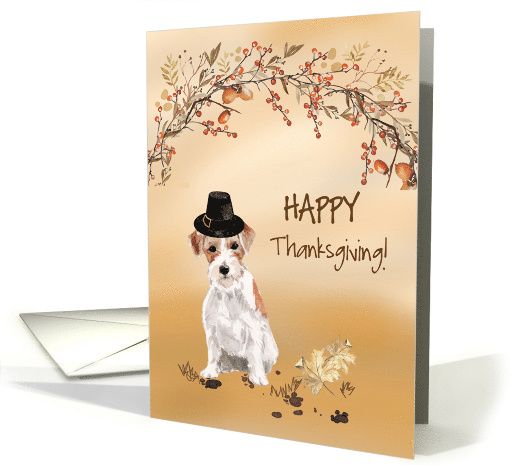Wire Haired Jack Russell Funny Pilgrim Hat Thanksgiving card (1784282)