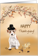 Wire Haired Jack Russell Funny Pilgrim Hat Thanksgiving card