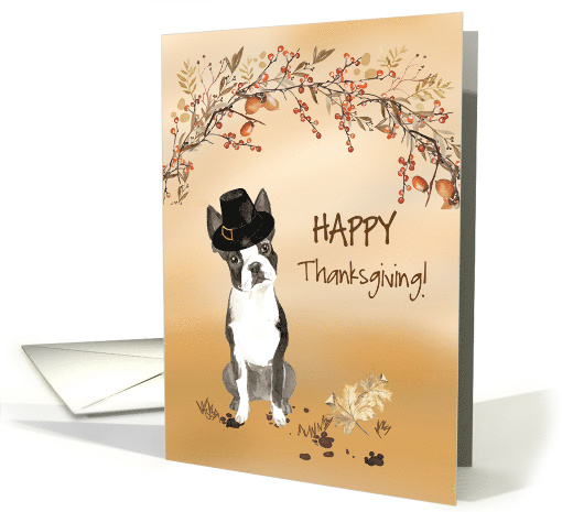 Boston Terrier Funny Pilgrim Hat Thanksgiving card (1784292)