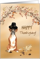 Boxer Funny Pilgrim Hat Thanksgiving card