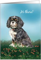 Hello With Black and White Cavalier King Charles Spaniel card