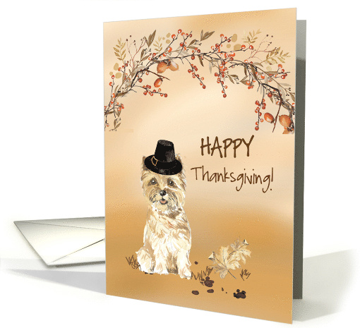 Cairn Terrier Funny Pilgrim Hat Thanksgiving card (1784622)
