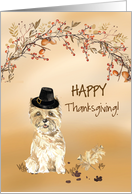 Cairn Terrier Funny Pilgrim Hat Thanksgiving card