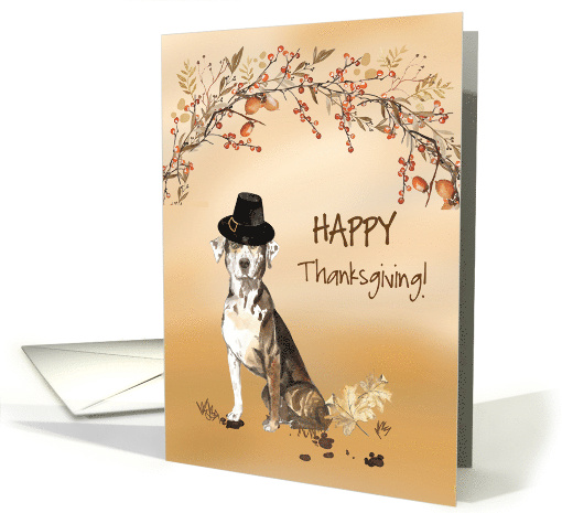 Catahoula Leopard Dog Funny Pilgrim Hat Thanksgiving card (1784624)