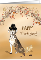 Catahoula Leopard Dog Funny Pilgrim Hat Thanksgiving card