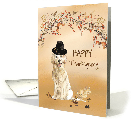 Golden Retriever Funny Pilgrim Hat Thanksgiving card (1784634)