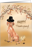 Hungarian Vizsla Funny Pilgrim Hat Thanksgiving card