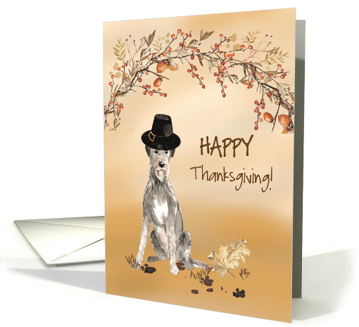 Irish Wolf Hound Funny Pilgrim Hat Thanksgiving card (1784638)