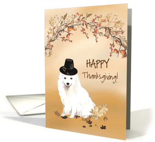 Japanese Spitz Funny Pilgrim Hat Thanksgiving card (1784640)