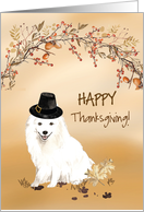 Japanese Spitz Funny Pilgrim Hat Thanksgiving card