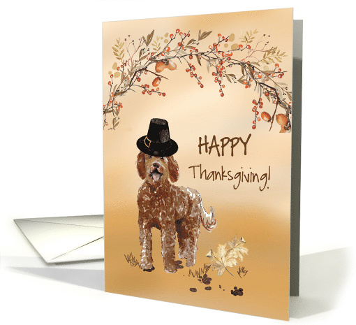 Labradoodle Funny Pilgrim Hat Thanksgiving card (1784642)