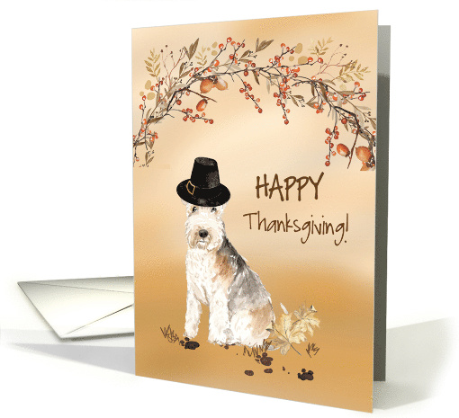 Lakeland Terrier Funny Pilgrim Hat Thanksgiving card (1784644)